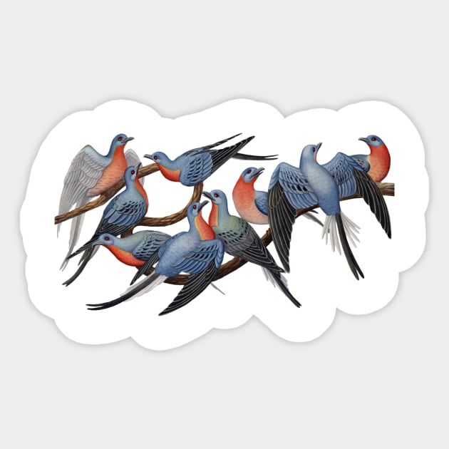 Passenger Pigeons Sticker by JadaFitch